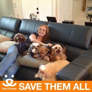 Meet your Posher, Monica